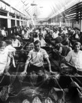 Cigar workers sorting tobacco by Burgert Brothers