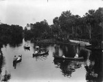 Canoes on the Hillsborough River by Burgert Brothers
