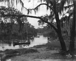 Canoes on the Hillsborough River by Burgert Brothers