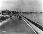 Automobile traffic on Bayshore Boulevard looking northeast by Burgert Brothers
