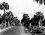 Bayshore Road in Manatee County, Florida by Burgert Brothers