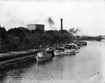 Boats on the Hillsborough River Near Plant Park by Burgert Brothers