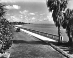 Bayshore Boulevard Seawall and Hillsborough Bay Viewed from Ballast Point by Burgert Brothers