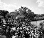 Crowd Gathered Around Spring Bayou in Tarpon Springs for the Annual Epiphany Celebration of Diving of the Cross by Burgert Brothers
