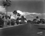 Davis Boulevard with the Davis Islands Country Club on the left by Burgert Brothers