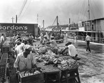 Banana shipment being unloaded by stevedores and sorted by dock workers by Burgert Brothers