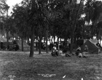 Free auto camp grounds, De Soto Park, Tampa, Fla by Burgert Brothers