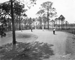 Millard Fillmore Caldwell playing golf by Burgert Brothers