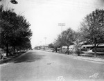 Memorial Highway in Tampa, March 14, 1925 by Burgert Brothers