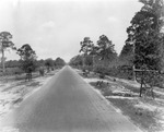 Memorial Highway between Oldsmar and Tampa by Burgert Brothers