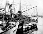 Loaded sponge boat on the Anclote River in Tarpon Springs, Florida by Burgert Brothers
