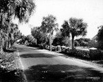 Highway in Palmetto, Florida by Burgert Brothers