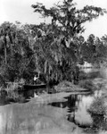 Man fishing from a boat on the Weeki Wache River near Brooksville, Florida by Burgert Brothers