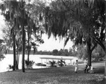Lake Near the Florence Villa Neighborhood in Tampa by Burgert Brothers