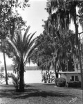 Lake Near Florence Villa Hotel in Winter Haven by Burgert Brothers