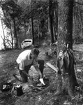 Man Cooking Freshly Caught Fish in the Woods by Burgert Brothers