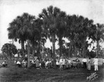 Tampa Spring Barbeque, April 18, 1925 by Burgert Brothers