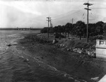 Shoreline Along Bayshore Boulevard, October 1932 by Burgert Brothers