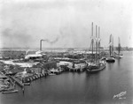 Sailing ships docked at Lee Terminal at the Port of Tampa by Burgert Brothers