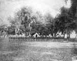Soldiers standing at attention in camp at Fort Brooke by Burgert Brothers
