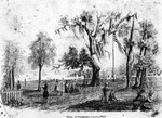 Scene at Tampa Bay, Florida, 1846 by Burgert Brothers