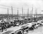 Sponge fleet and cars parked by dock in Tarpon Springs, Florida by Burgert Brothers