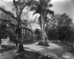 Plant Park at the Tampa Bay Hotel by Burgert Brothers