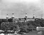 Tampa Bay Hotel building and minarets viewed behind tree tops by Burgert Brothers