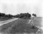 Road Along the Indian River by Burgert Brothers