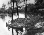 A couple canoeing on the Hillsborough River by Burgert Brothers