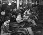 Women Working at the Hav-a-Tampa Cigar Company by Burgert Brothers