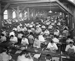 Workers Rolling and Packaging Cigars in a Factory by Burgert Brothers