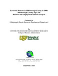 Economic patterns in Hillsborough County in 1999 Hillsborough County zip code business and employment patterns analysis