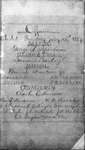 Tampa City Council minutes - 1887-1890 by Unknown