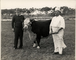 Chef Pijuan poses with knife in hand beside a prized cow the Columbia Restaurant bought