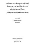 Adolescent pregnancy and contraceptive use in the Monteverde Zone  :   a preliminary examination