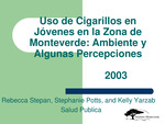 Uso de cigarillos en jóvenes en la Zona de Monteverde  :  ambiente y algunas percepciones, 2003 [Power Point]