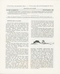 Newsletter, Florida Audubon Society - Florida Ornithological Society, Spring/Summer 1987 by Florida Audubon Society and Florida Ornithological Society