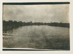 St. Johns River, Florida, 1904 by Edward Staples Cousens Smith