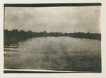 St. Johns River, Florida, 1904