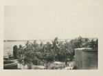 Harbor from New Colonial Hotel, Nassau, Bahamas, February 1924