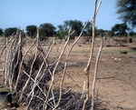 Destroyed village in Darfur