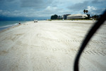 Beach along Gulf of Mexico in Pinellas County, Florida [2]
