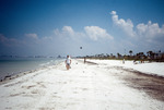 Beach polluted with oil along the Gulf of Mexico in Pinellas County, Florida