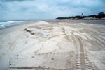 Amelia Island nourished beach by Richard A. Davis and University of South Florida -- Tampa Library