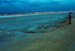 Antidunes in s. flood channel, Matanzas Inlet, FL by Richard A. Davis and University of South Florida -- Tampa Library
