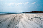 Beach south of St. Augustine, Fla by Richard A. Davis and University of South Florida -- Tampa Library