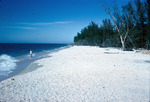 Beach at south end of Captiva Island, Fla by Richard A. Davis and University of South Florida -- Tampa Library