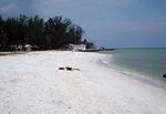 Beach at Blind Pass by Richard A. Davis and University of South Florida -- Tampa Library