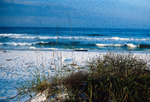 Beach at Santa Rosa Island, Florida by Richard A. Davis
